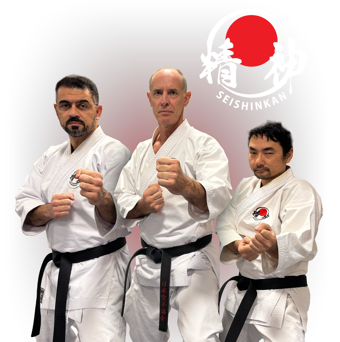 Jefson Borges 3˚ Dan Karatê JKA e logotipo Seishinkan